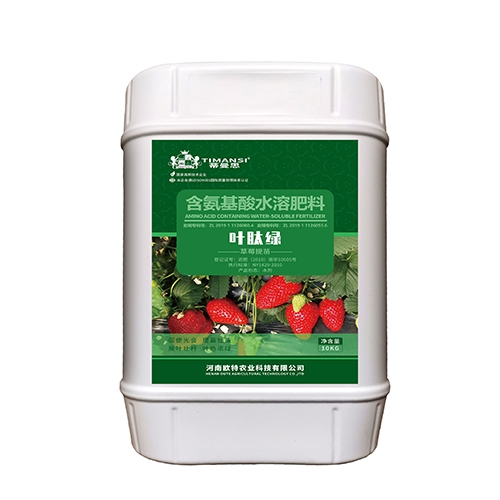 草莓葉肽綠