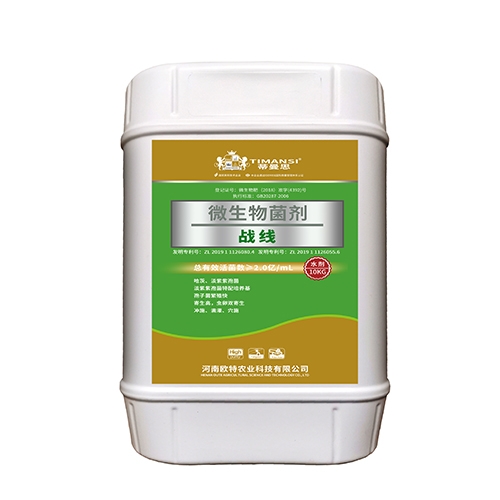 戰(zhàn)線