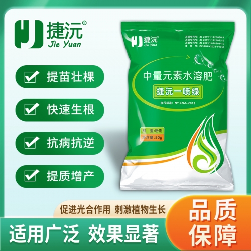 捷沅一噴綠